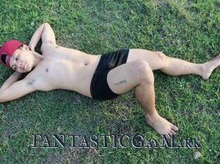 FANTASTICGayMark