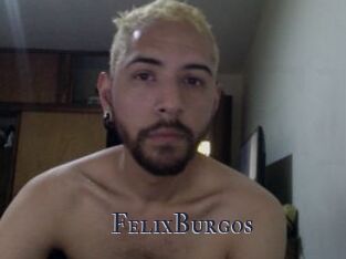 FelixBurgos