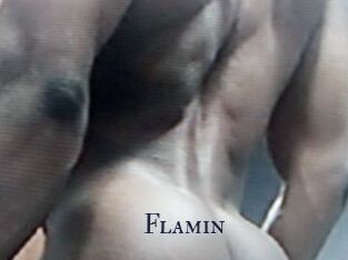 Flamin