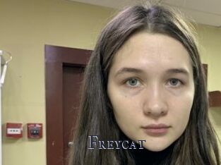 Freycat