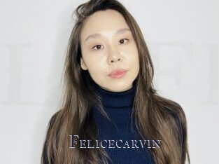 Felicecarvin