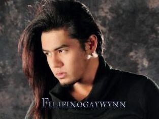 Filipinogaywynn