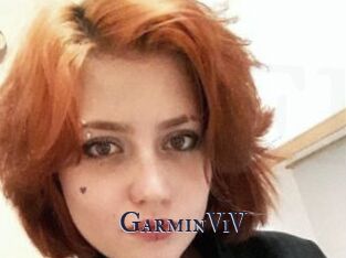 GarminViV