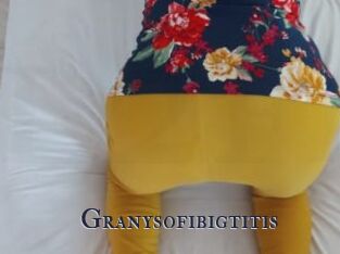 Granysofibigtitis