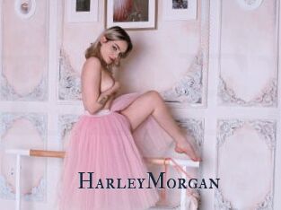 HarleyMorgan