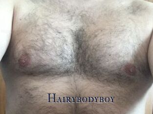 Hairybodyboy