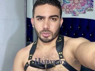 Hairyboyx