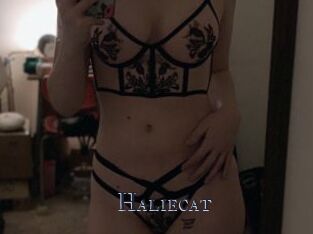 Haliecat