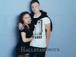 Halleyandbuck