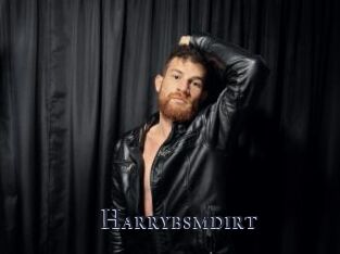 Harrybsmdirt
