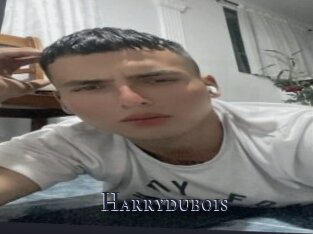 Harrydubois