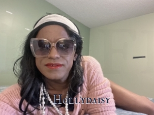 Hollydaisy