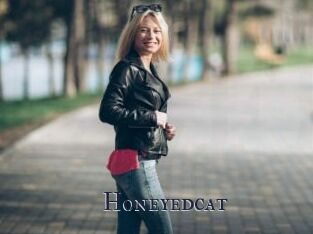 Honeyedcat