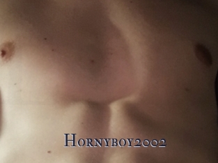 Hornyboy2002
