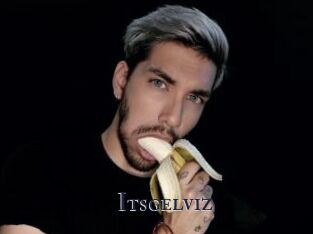 Itsgelviz