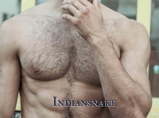 Indiansnake