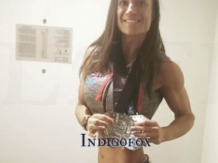 Indigofox