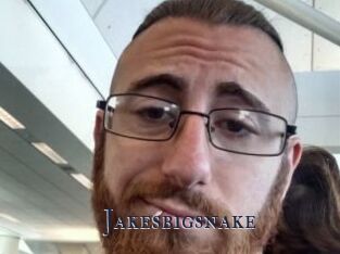 Jakesbigsnake
