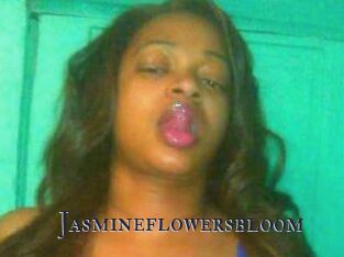 Jasmineflowersbloom