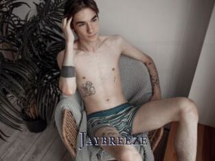 Jaybreeze