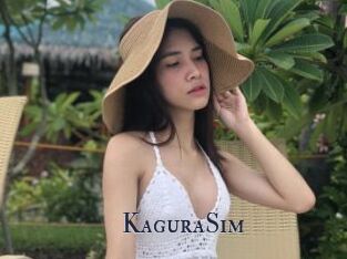 KaguraSim
