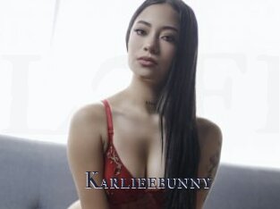 Karlieebunny