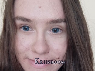 Kriisboom