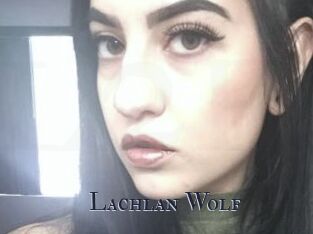 Lachlan_Wolf