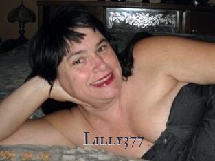 Lilly377