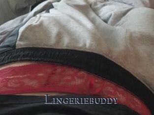 Lingeriebuddy