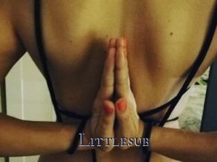 Littlesub