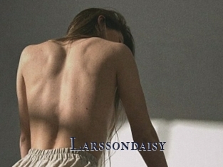 Larssondaisy