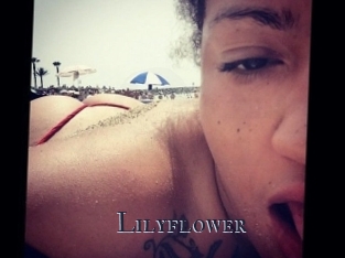 Lilyflower