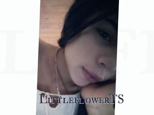 LittleflowerTS