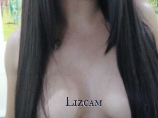 Lizcam