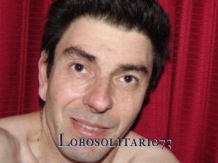 Lobosolitario73