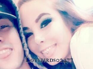 Lovebirds02477