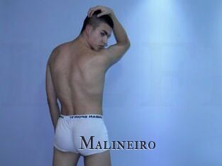 Malineiro