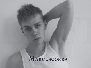 Marcuscobra