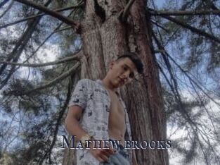 Mathew_brooks