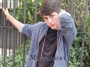Mattrobert