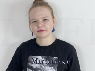 Maygallant