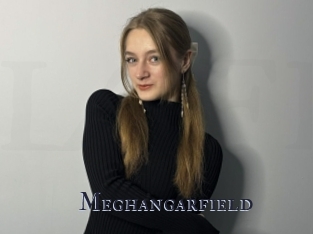 Meghangarfield