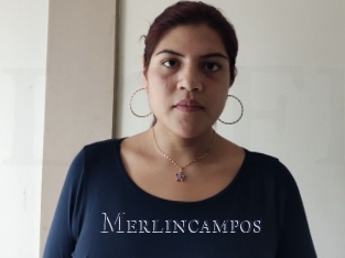 Merlincampos