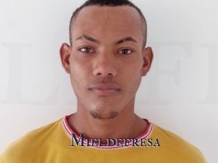 Mieldefresa