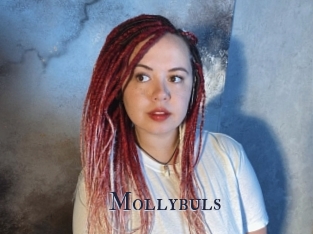 Mollybuls