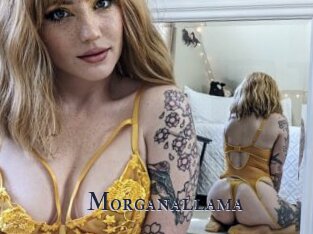 Morganallama