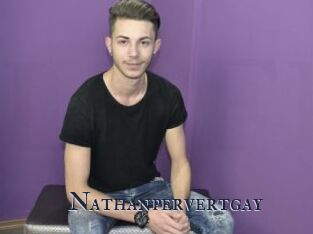 Nathanpervertgay