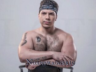 Noahswagger19