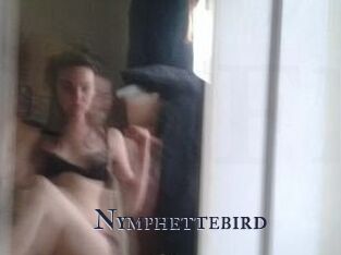 Nymphettebird